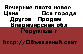 Вечерние платя новое › Цена ­ 3 000 - Все города Другое » Продам   . Владимирская обл.,Радужный г.